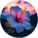 Prachi Gupta profile picture